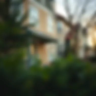 Magnificent Understanding Rental History on Your Credit Report