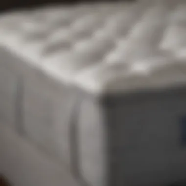Plush Pillow Top Comfort Luxurious Beautyrest Silver Wavecrest Firm Queen Mattress with Plush Pillow Top