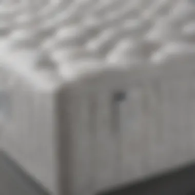 Pocketed Coil Innovation Advanced Pocketed Coil Technology in Beautyrest Silver Wavecrest Firm Queen Mattress