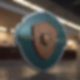 Credit Union Fixed Rate Credit Card with Shield Protection
