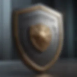 Illustration depicting financial protection shield