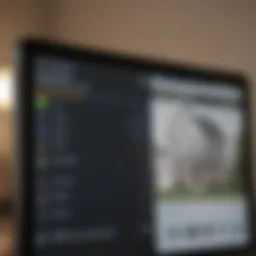 A digital interface showcasing home loan search features