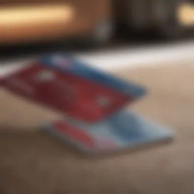 Sleek Elegance of Costco Card