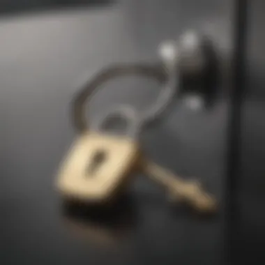 Illustration of a key unlocking a lock symbolizing financial solutions