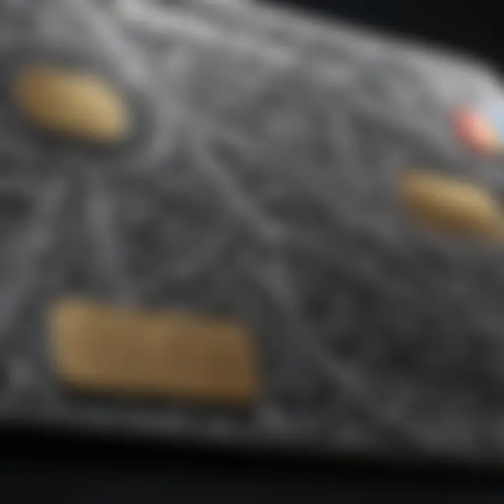 Elegant credit card design with intricate patterns